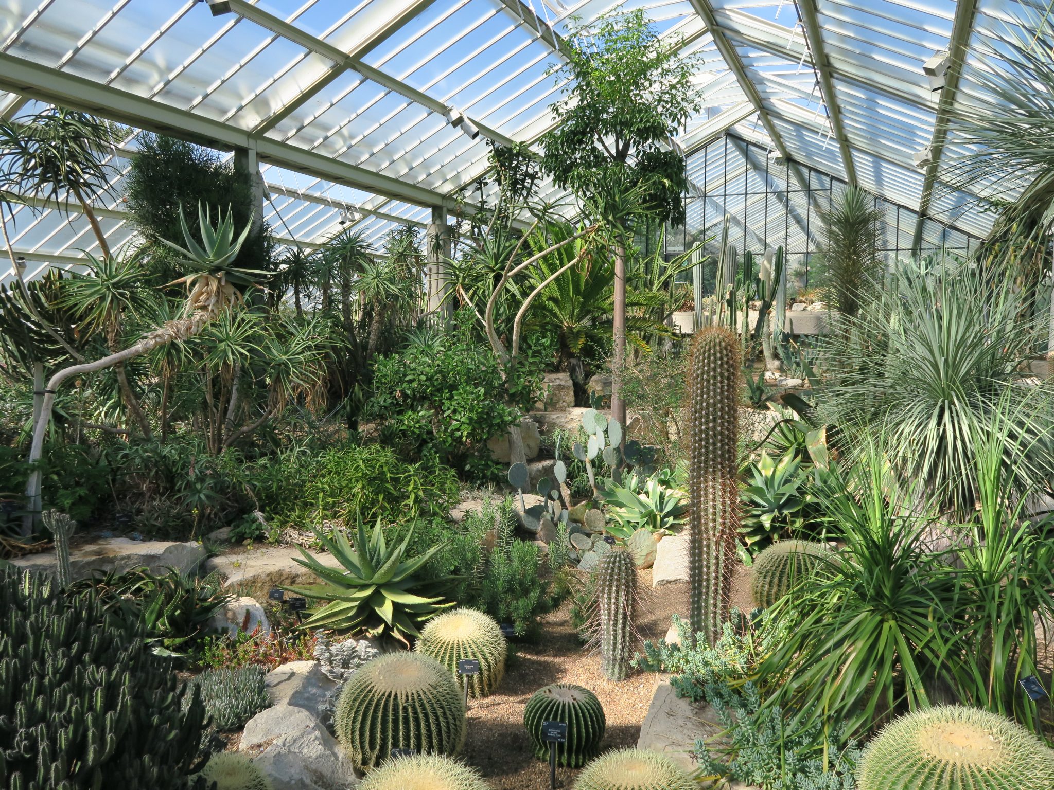 My Trip To Kew Gardens Curiously Conscious